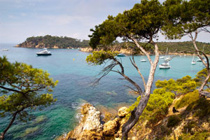 pinède provençale et plages de sable